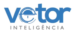 Vetor Inteligência